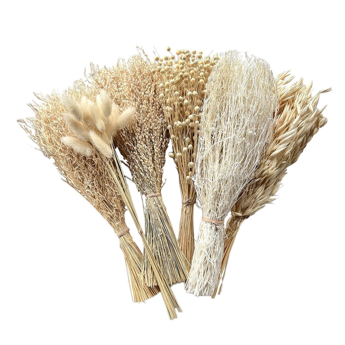 Mixed Dried Grasses and Florals Bleached, 12"