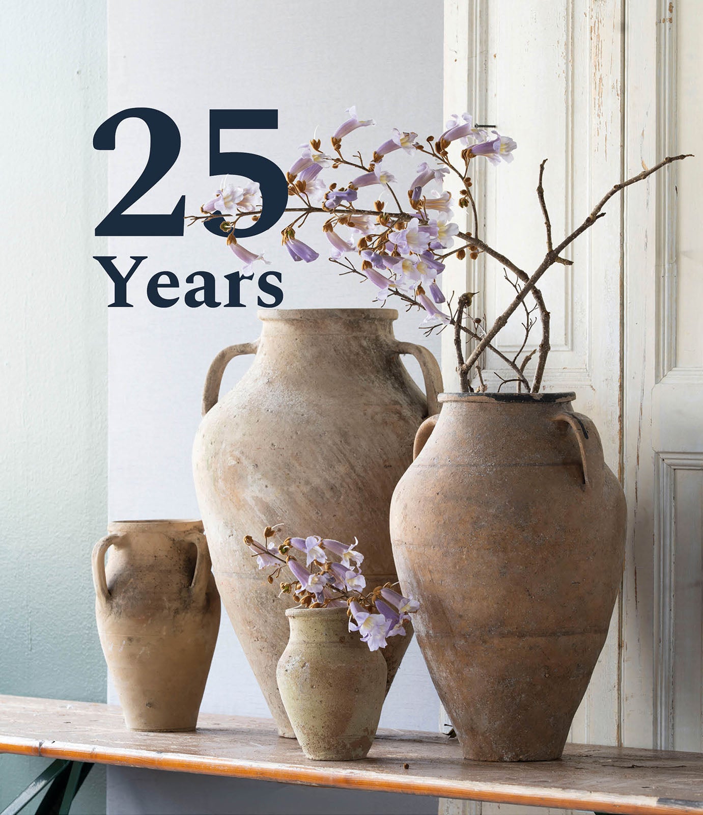 ⟦ 25th YEAR ⟧