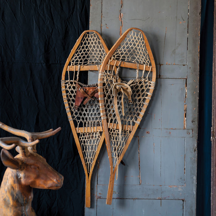 Snowshoes, pair