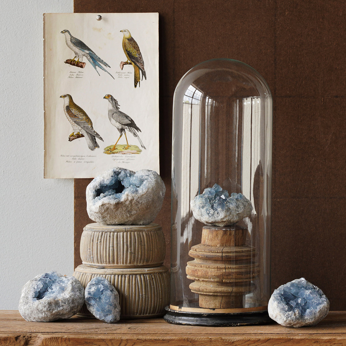 Contact Blue Ocean Traders