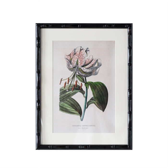 Castleford Matted Frame