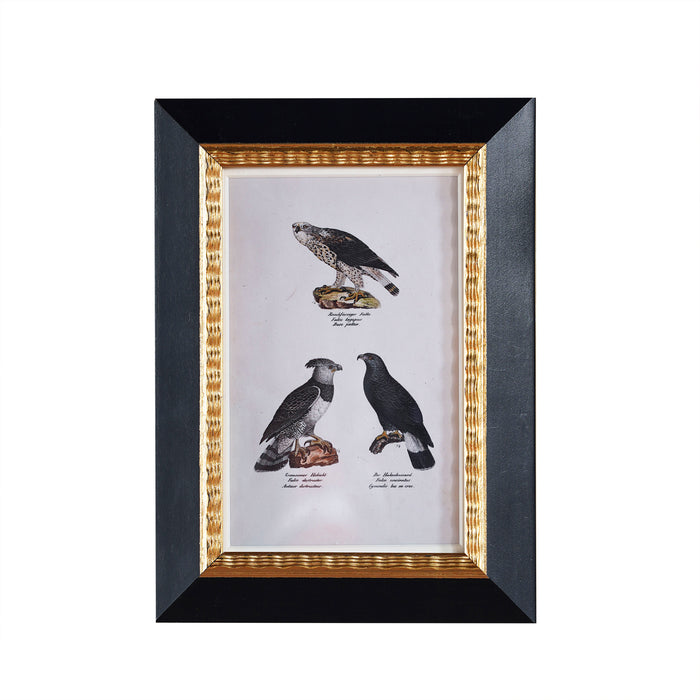 Andover Matted Frame