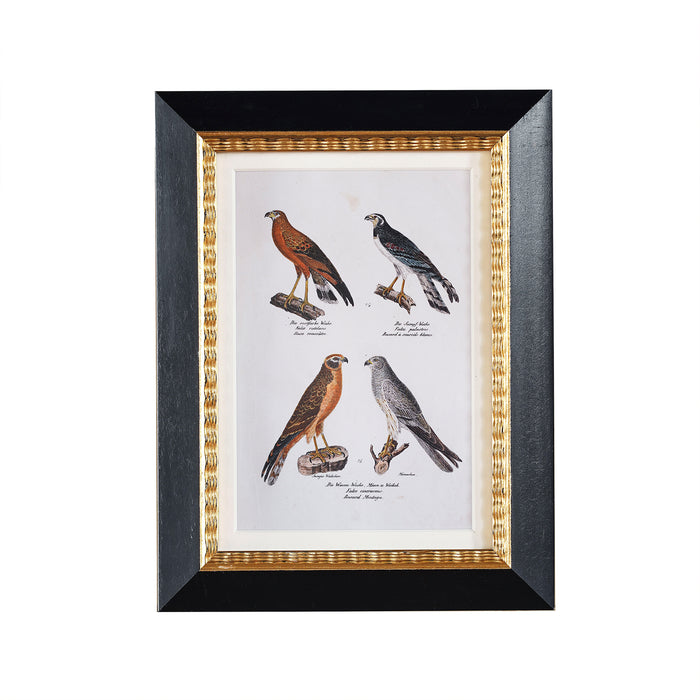 Andover Matted Frame