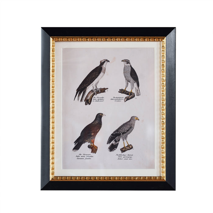 Andover Matted Frame