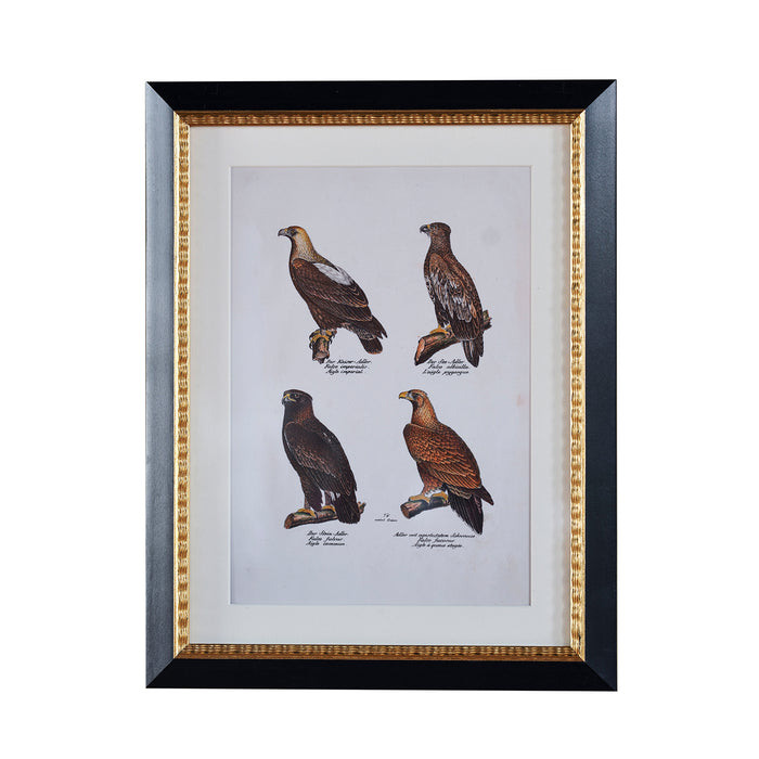 Andover Matted Frame