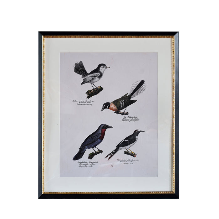 Andover Matted Frame