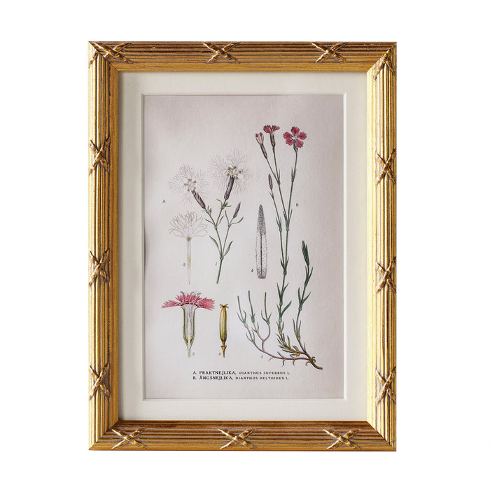 Arundel Matted Frame