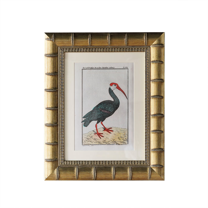 Brixham Matted Frame