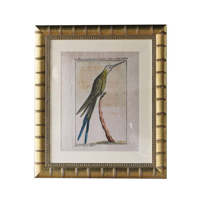 Brixham Matted Frame