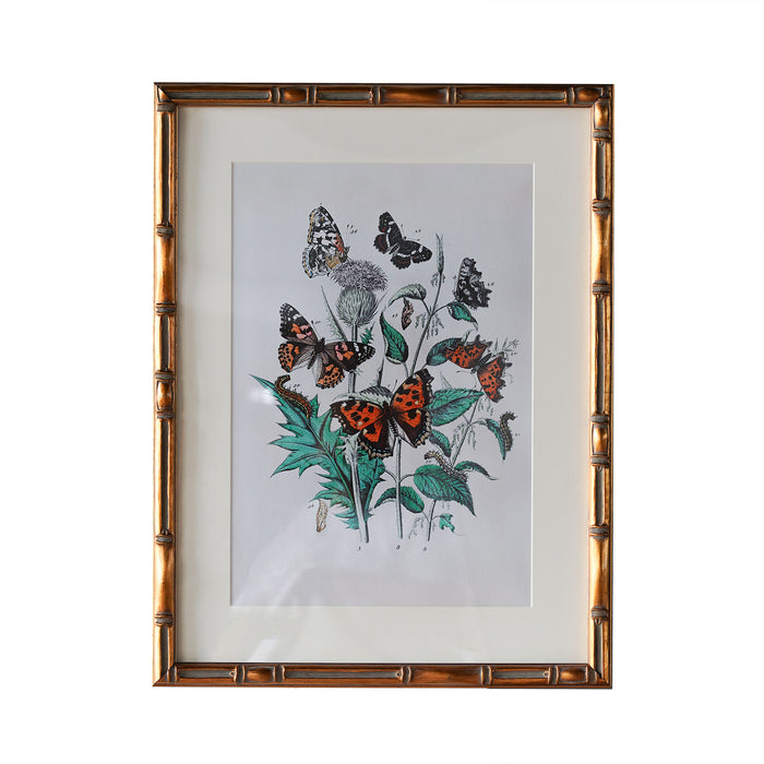 Burnley Matted Frame