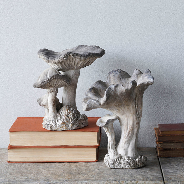 Concrete 3 Cap Mushroom Specimen