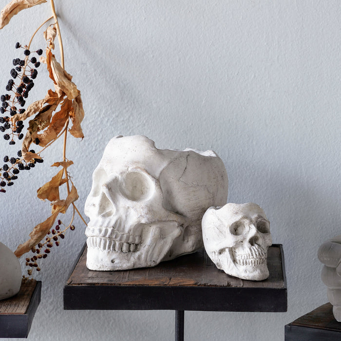 Concrete Momento Mori Skull