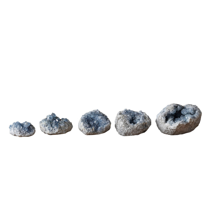 Celestite Geode