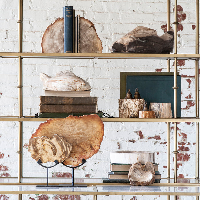 Madagascar Petrified Wood Branch, Medium