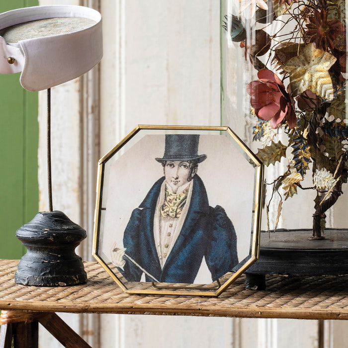 Botanist Display, Large