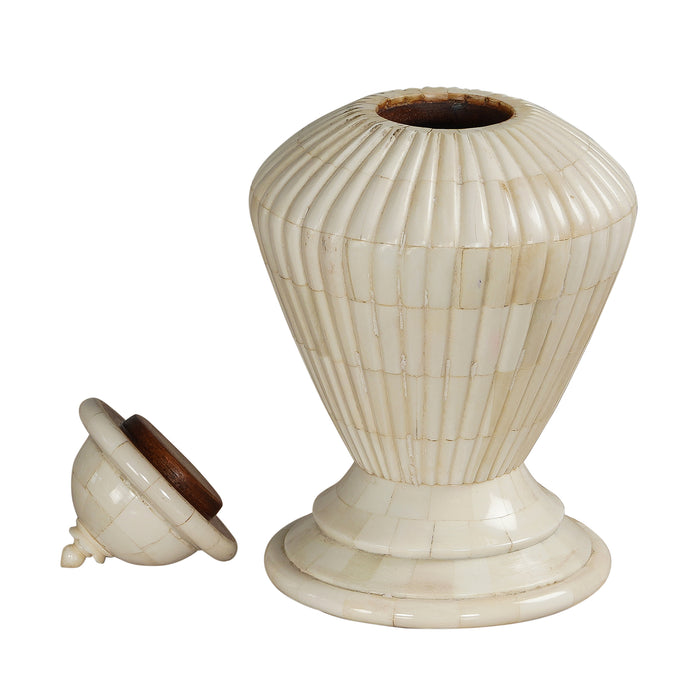 Cornelia Vessel in Bone