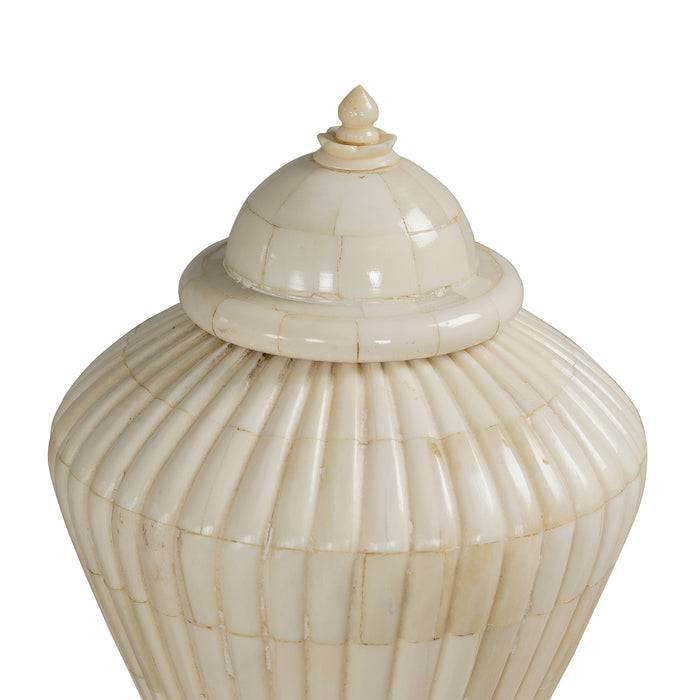 Cornelia Vessel in Bone