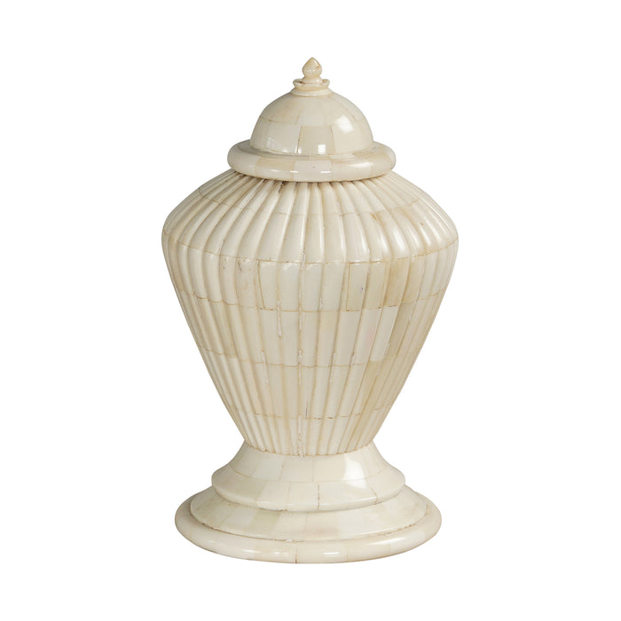 Cornelia Vessel in Bone