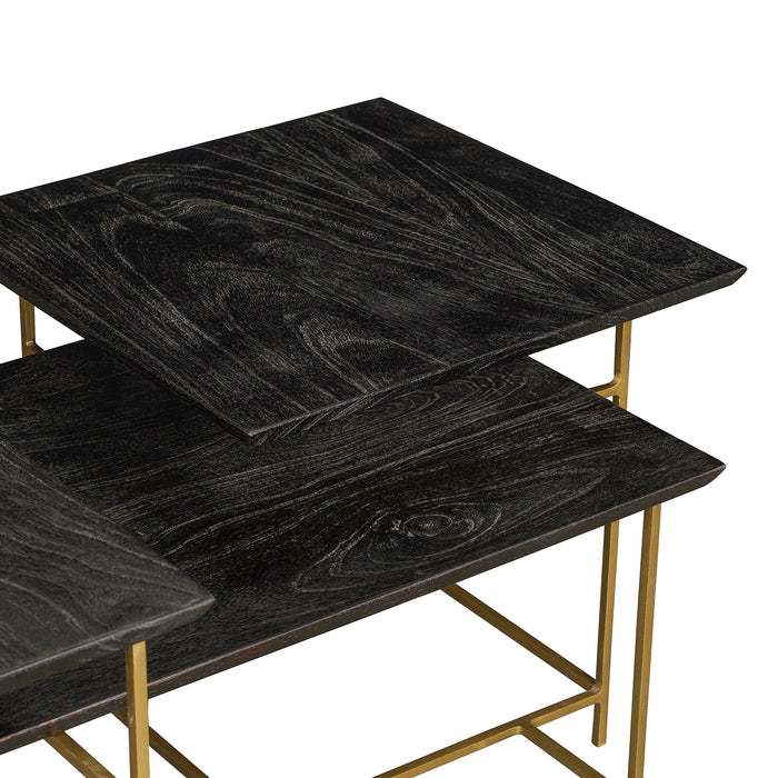 Focal Display Coffee Table