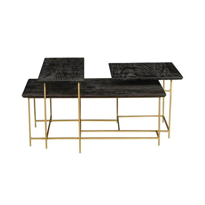 Focal Display Coffee Table