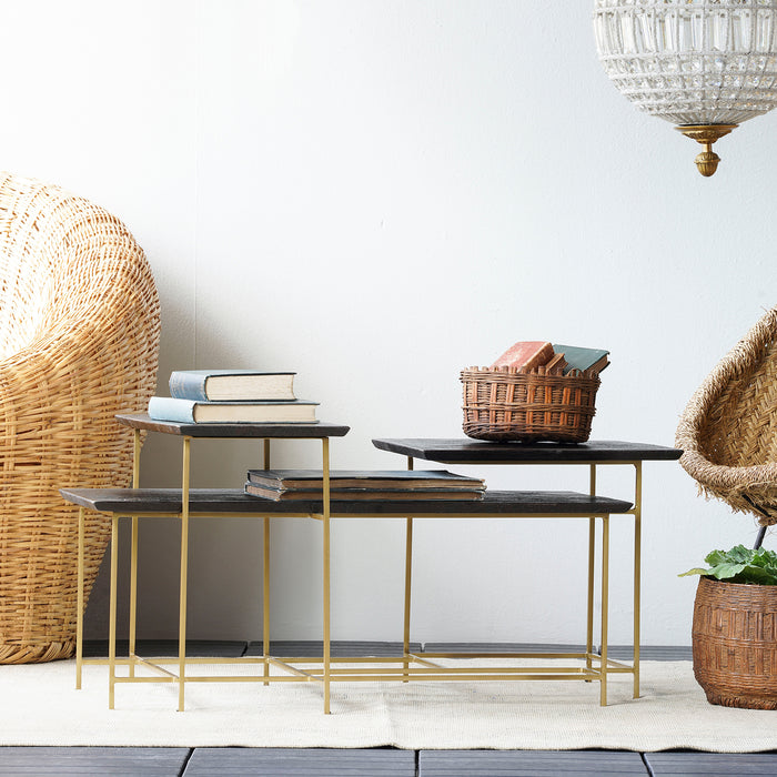 Focal Display Coffee Table