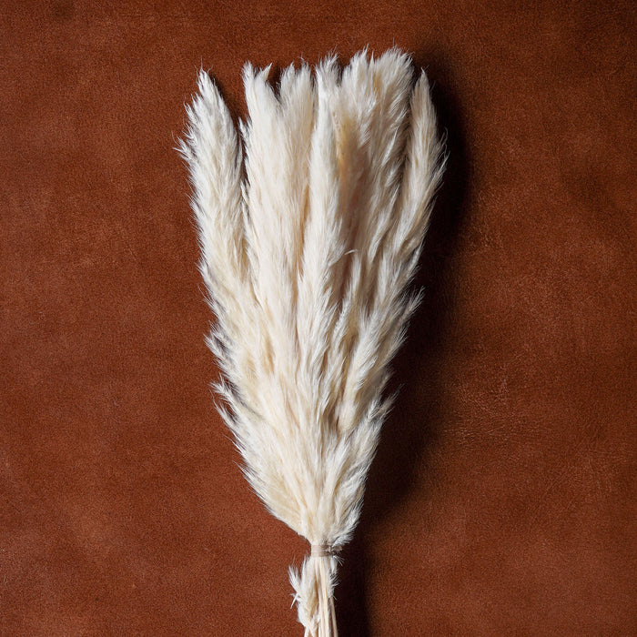 Mixed Dried Grasses and Florals Bleached, 20"