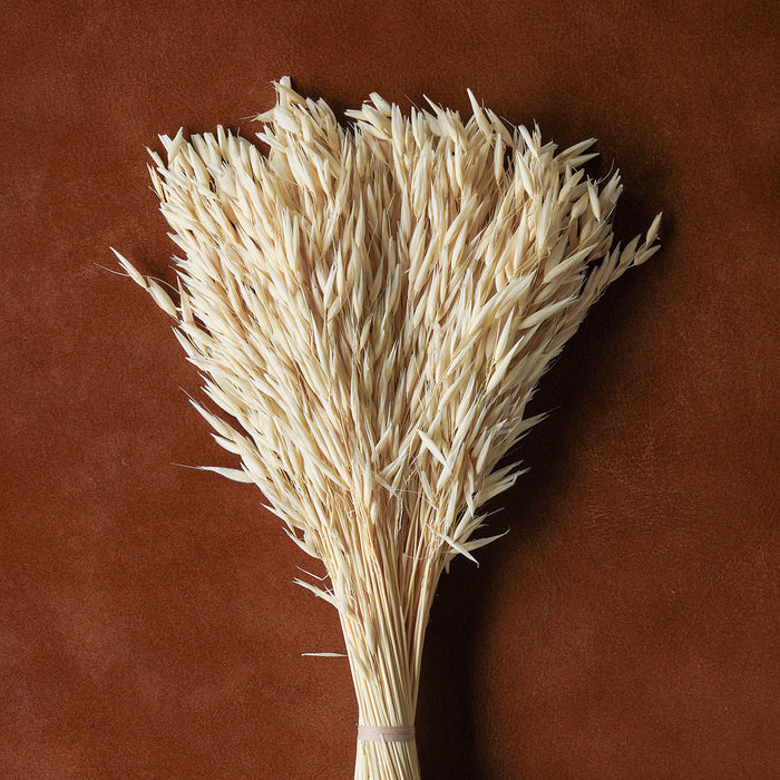 Mixed Dried Grasses and Florals Bleached, 20"