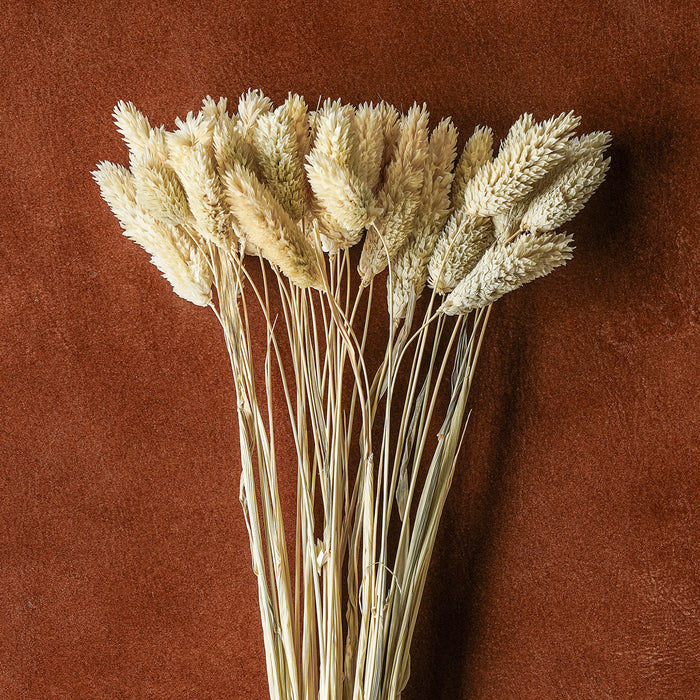 Mixed Dried Grasses and Florals Bleached, 20"