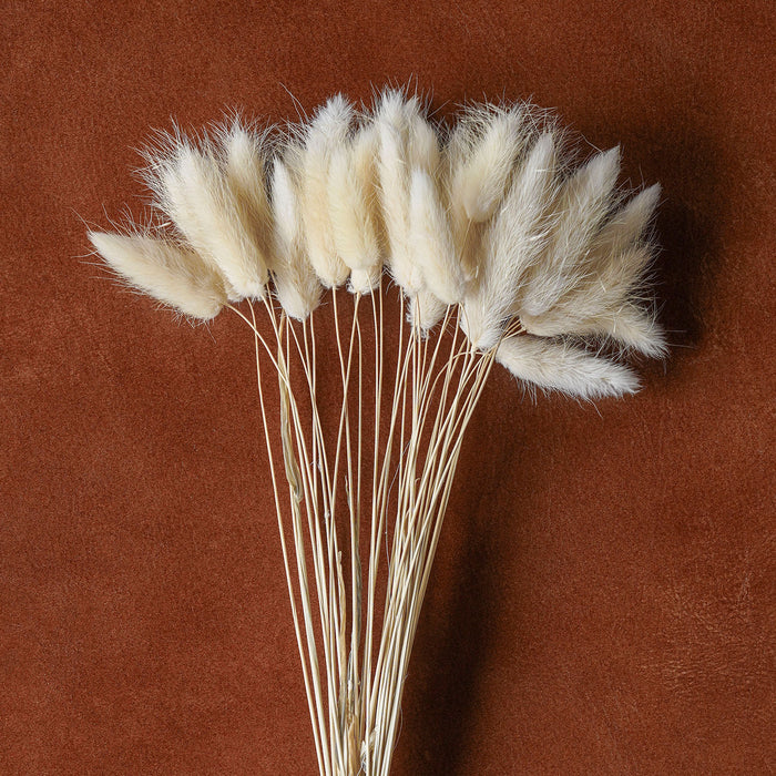 Mixed Dried Grasses and Florals Bleached, 20"