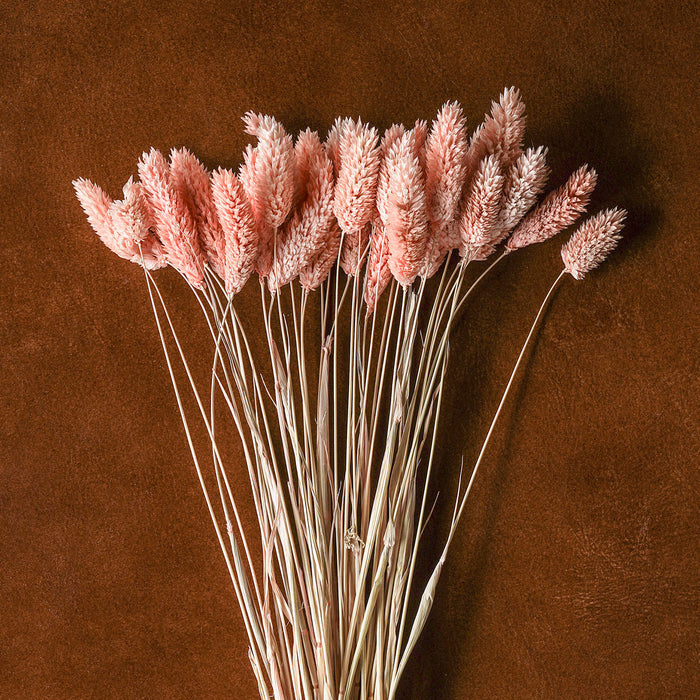 Mixed Dried Grasses and Florals Blush,  20"