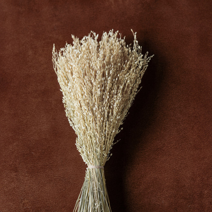 Mixed Dried Grasses and Florals Bleached, 12"