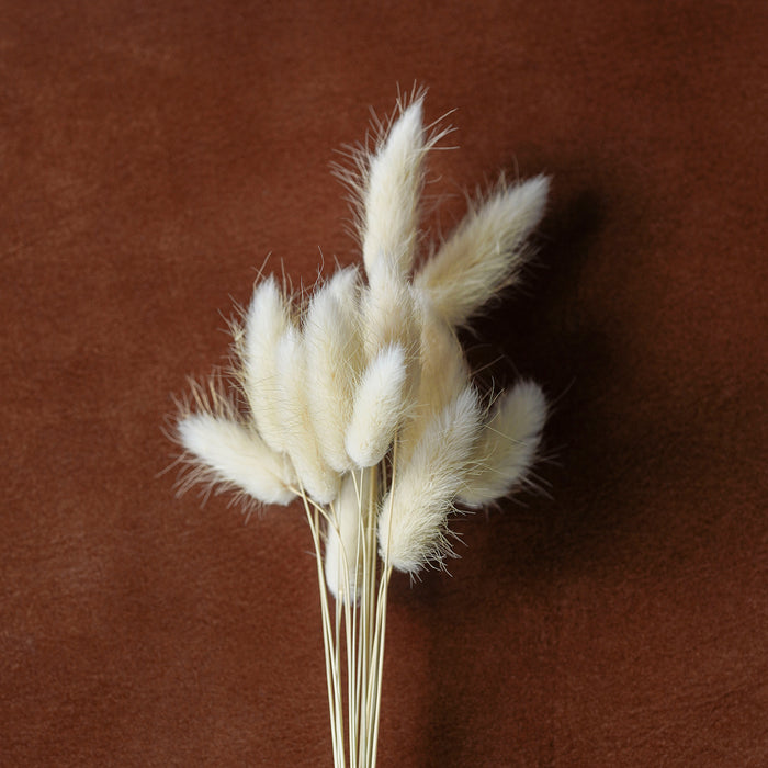 Mixed Dried Grasses and Florals Bleached, 12"