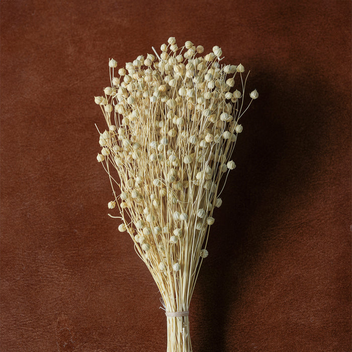 Mixed Dried Grasses and Florals Bleached, 12"