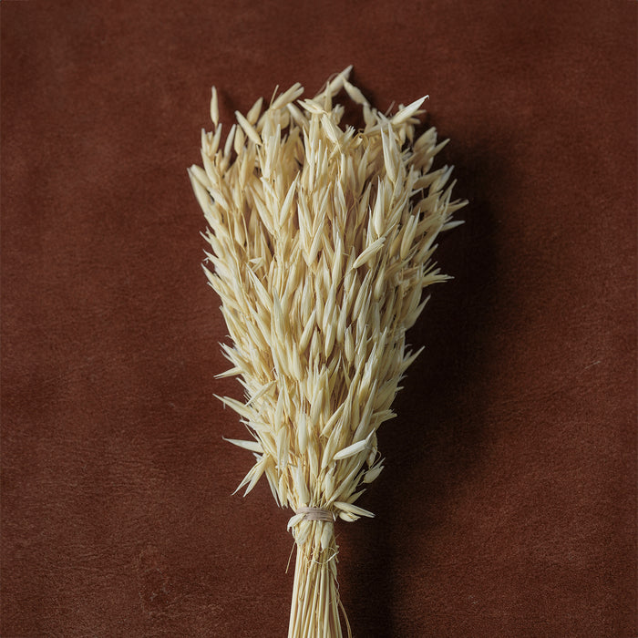 Mixed Dried Grasses and Florals Bleached, 12"