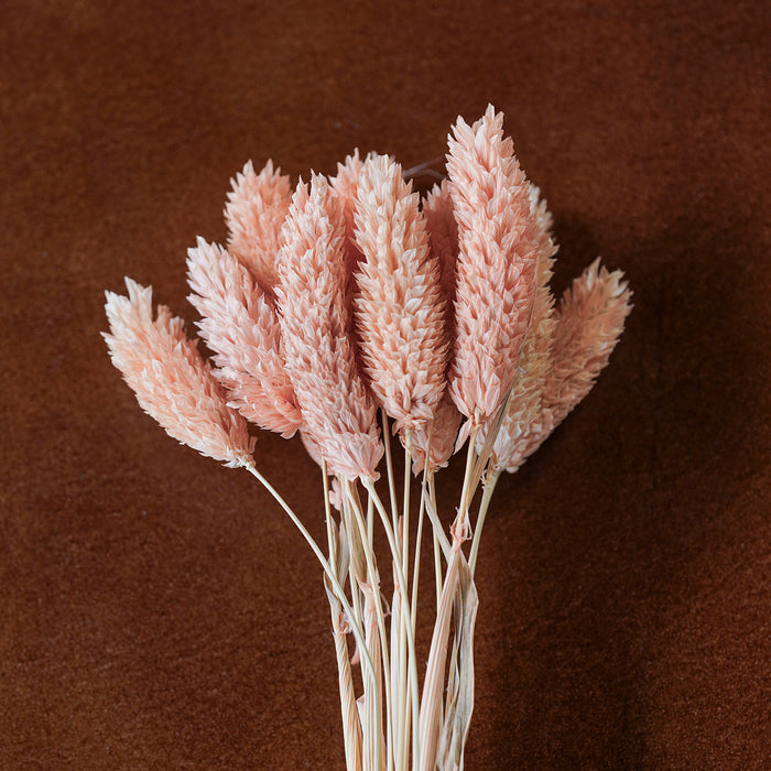 Mixed Dried Grasses and Florals Blush,  12"