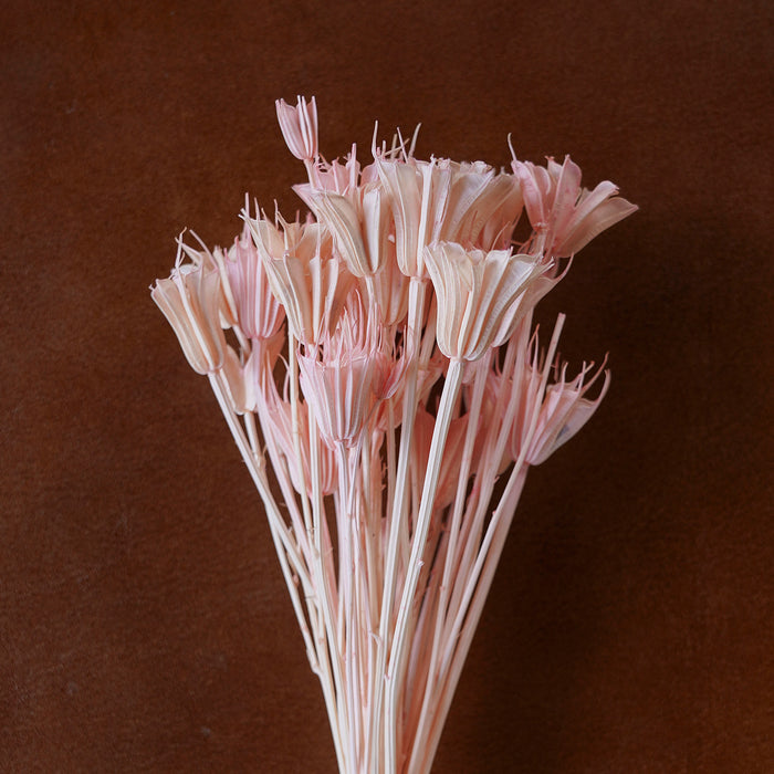 Mixed Dried Grasses and Florals Blush,  12"