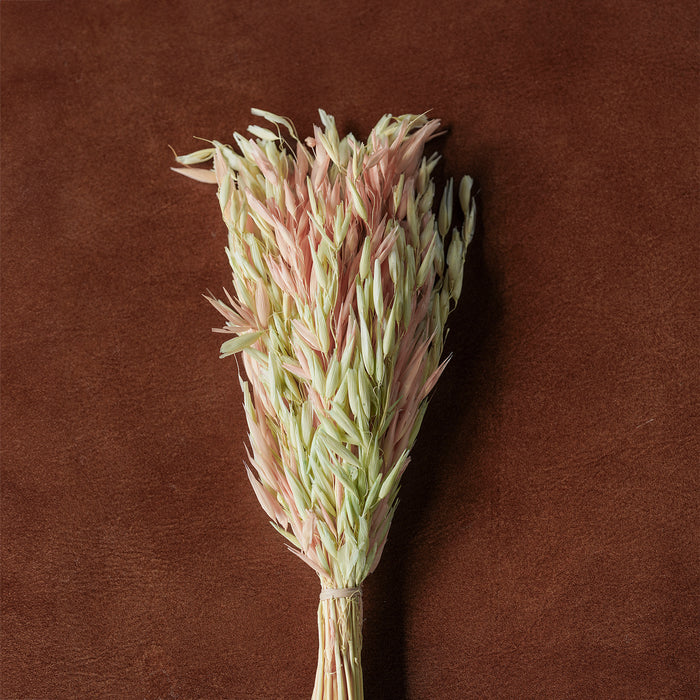 Mixed Dried Grasses and Florals Multicolor, 12"