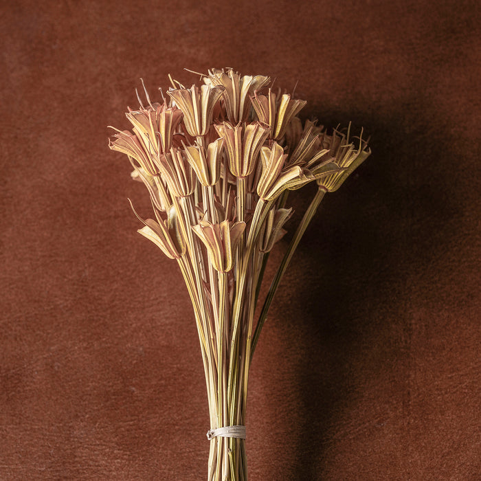 Mixed Dried Grasses and Florals Multicolor, 12"