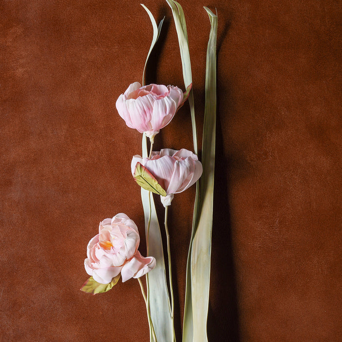 Sola Rose Stem Mixed Color, 40"