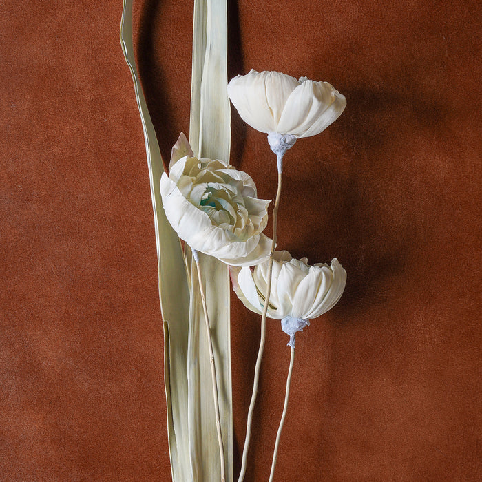 Sola Rose Stem Mixed Color, 40"