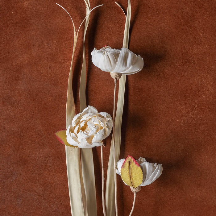 Sola Rose Stem Mixed Color, 40"