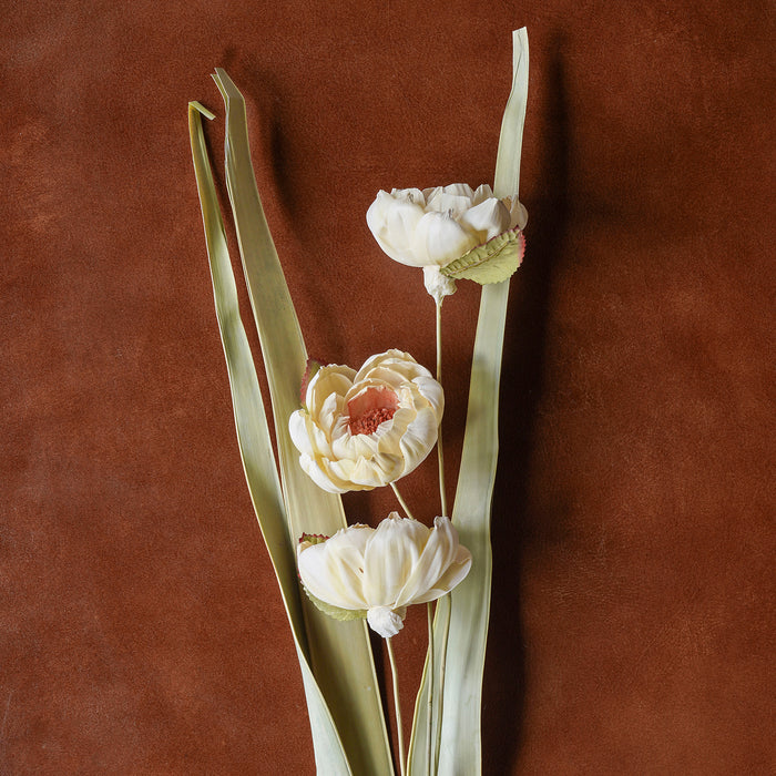 Sola Rose Stem Mixed Color, 40"