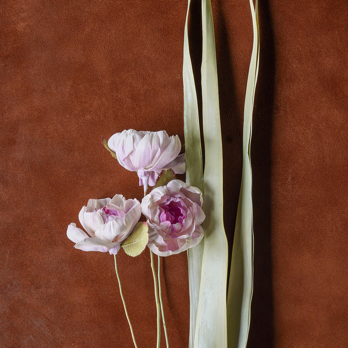 Sola Rose Stem Mixed Color, 40"