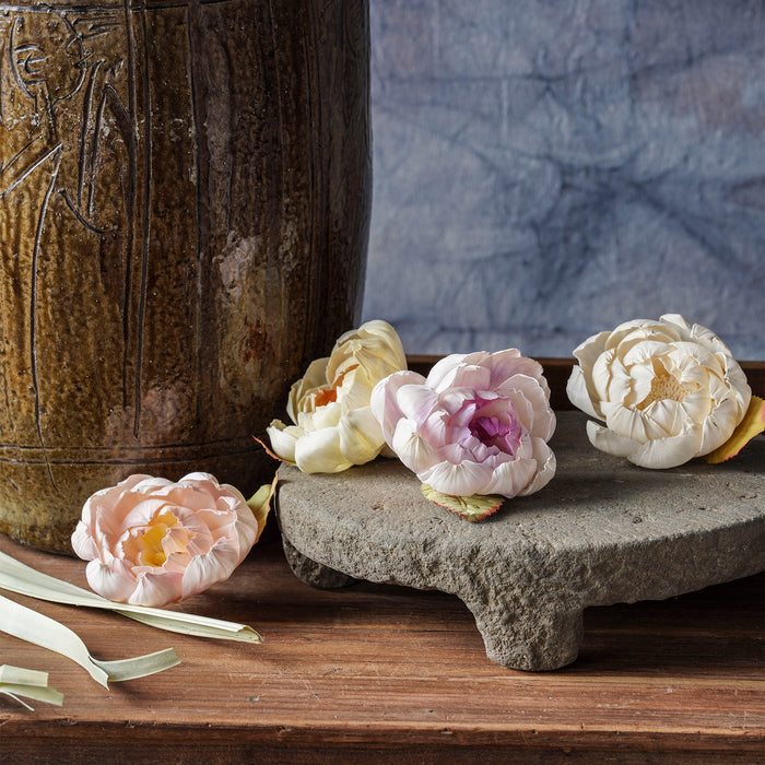 Sola Rose Stem Mixed Color, 40"