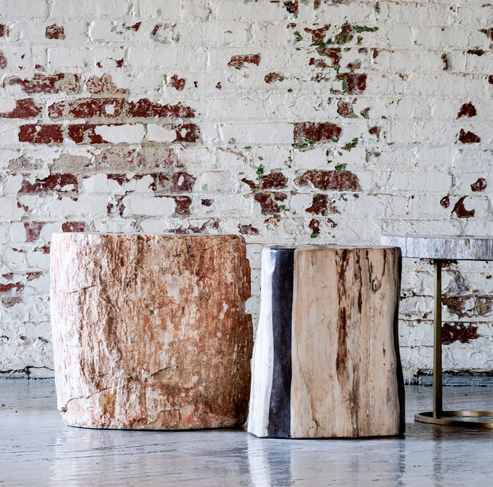 Live Edge Petrified Wood Side Table