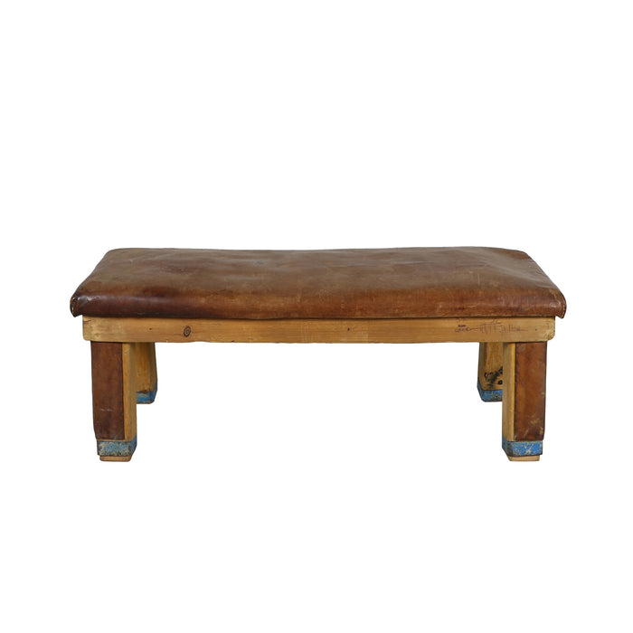 Leather Gym Bench