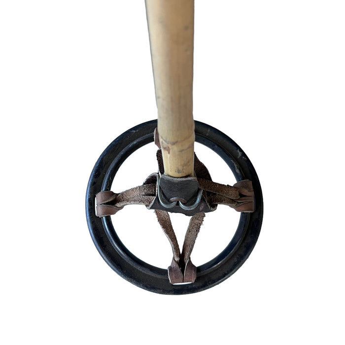 Vintage Skis with Poles