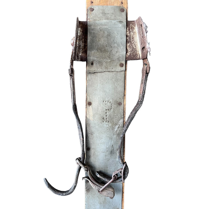Vintage Skis with Poles