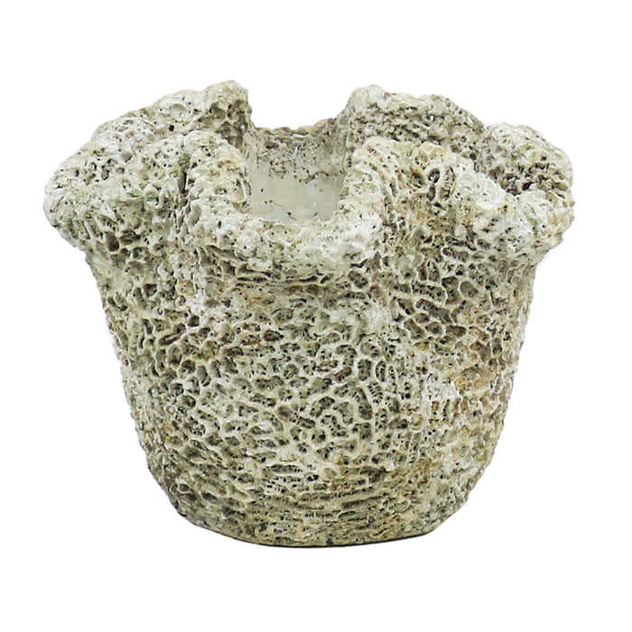 Cast Concrete Coral Planter