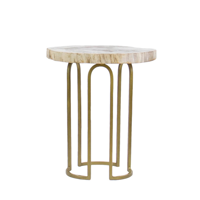 Petrified Wood Table Top